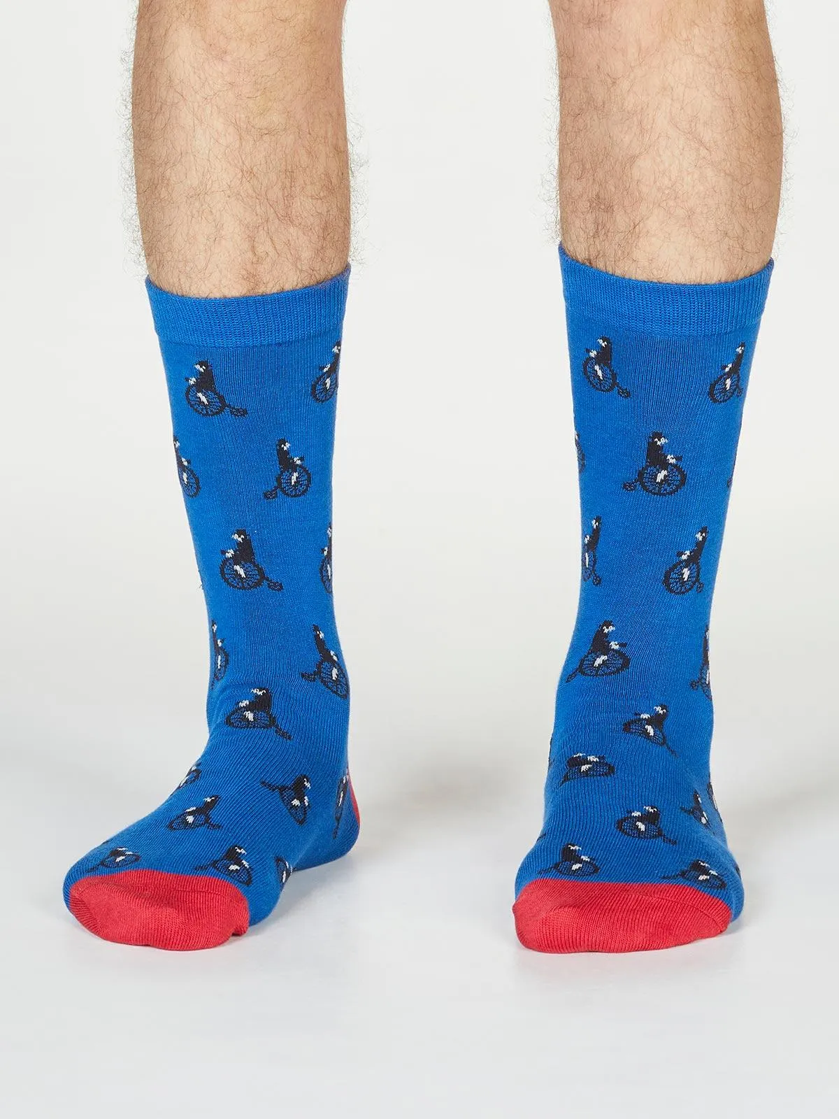 Ashton Bicycle Socks - Bright Blue