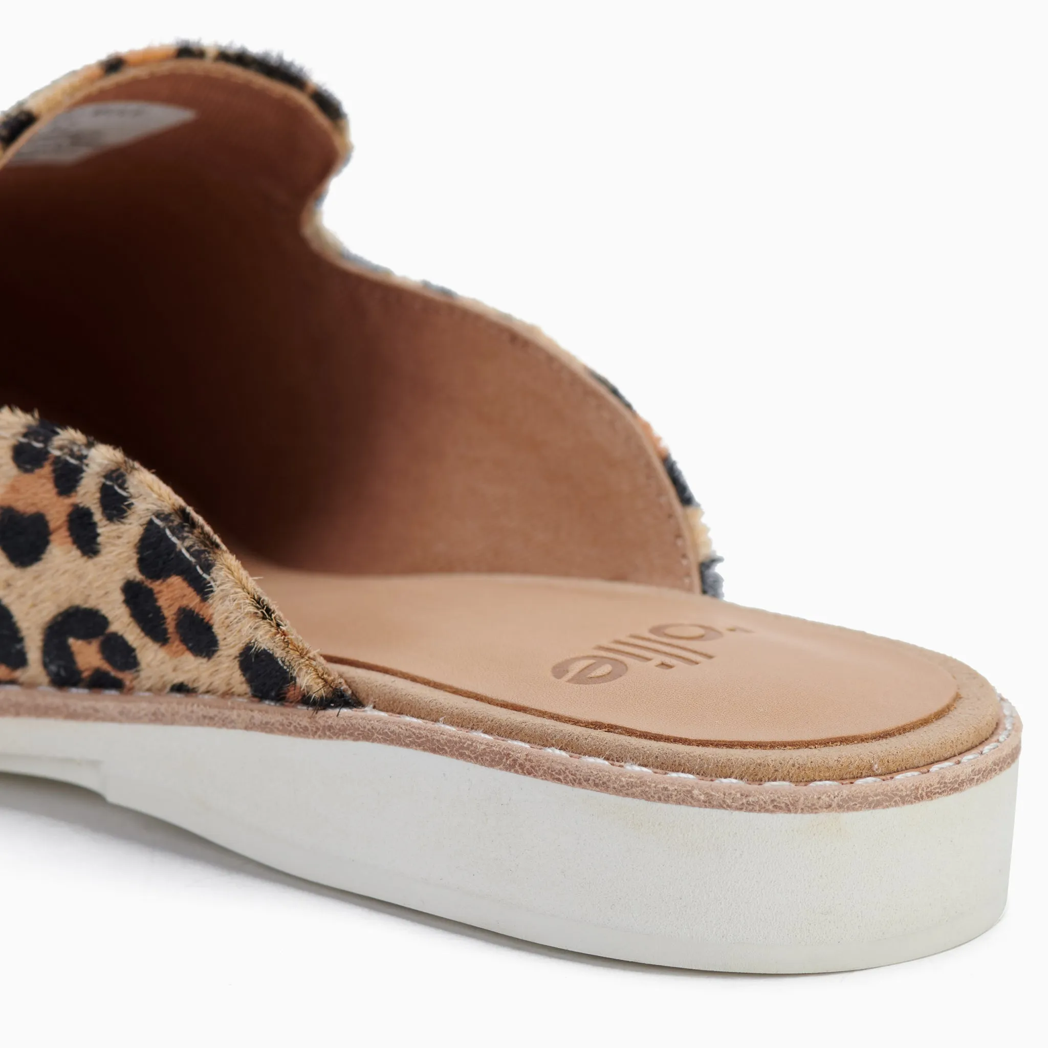 Derby Mule Camel Leopard