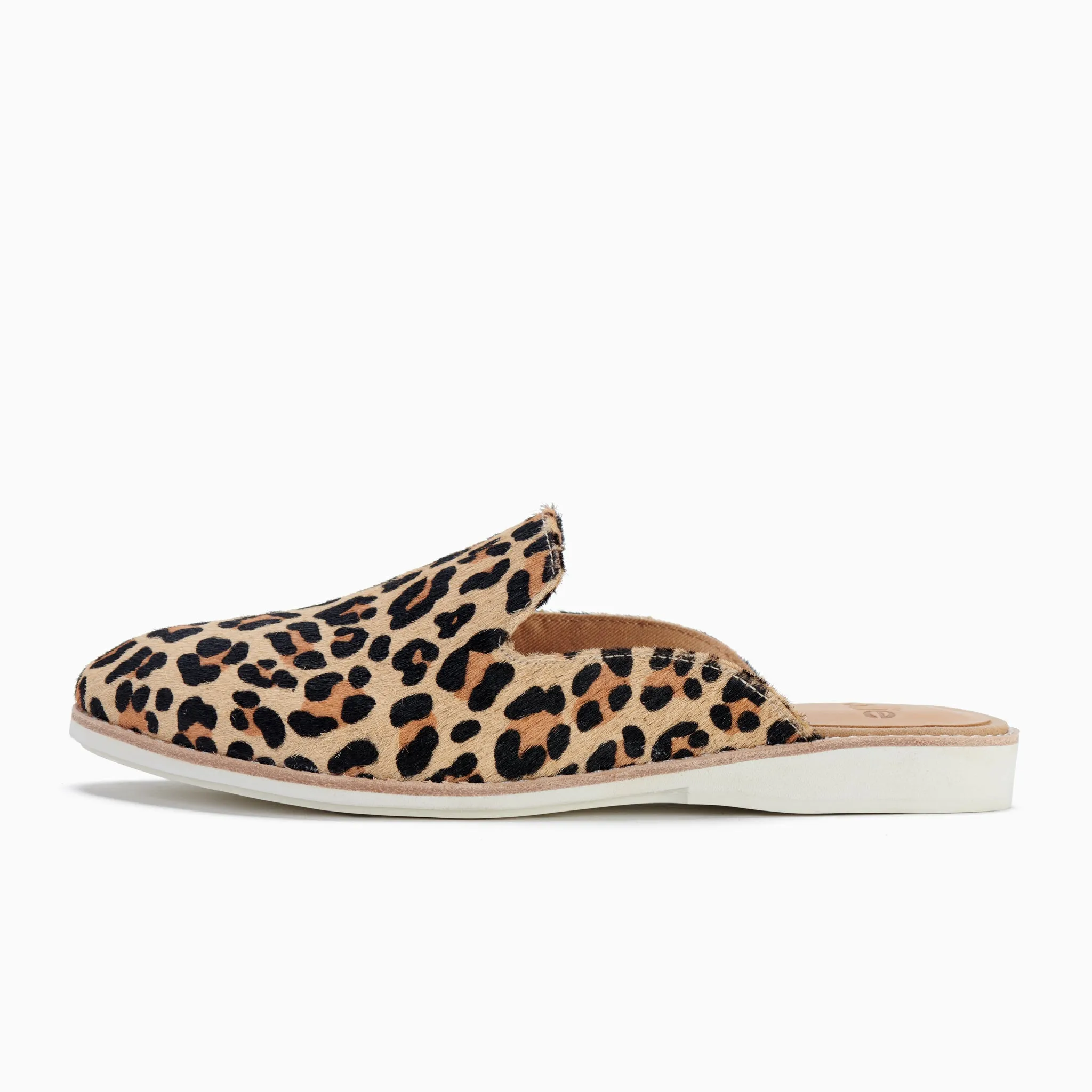 Derby Mule Camel Leopard